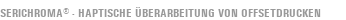 Graffiti Siebdruck - Siebdruck - Serichroma® - haptische Überarbeitung von Offsetdrucken
